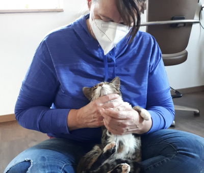 Katze